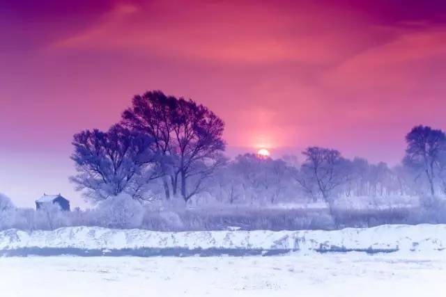 最新雪,最新雪，一场纯净无暇的自然盛宴