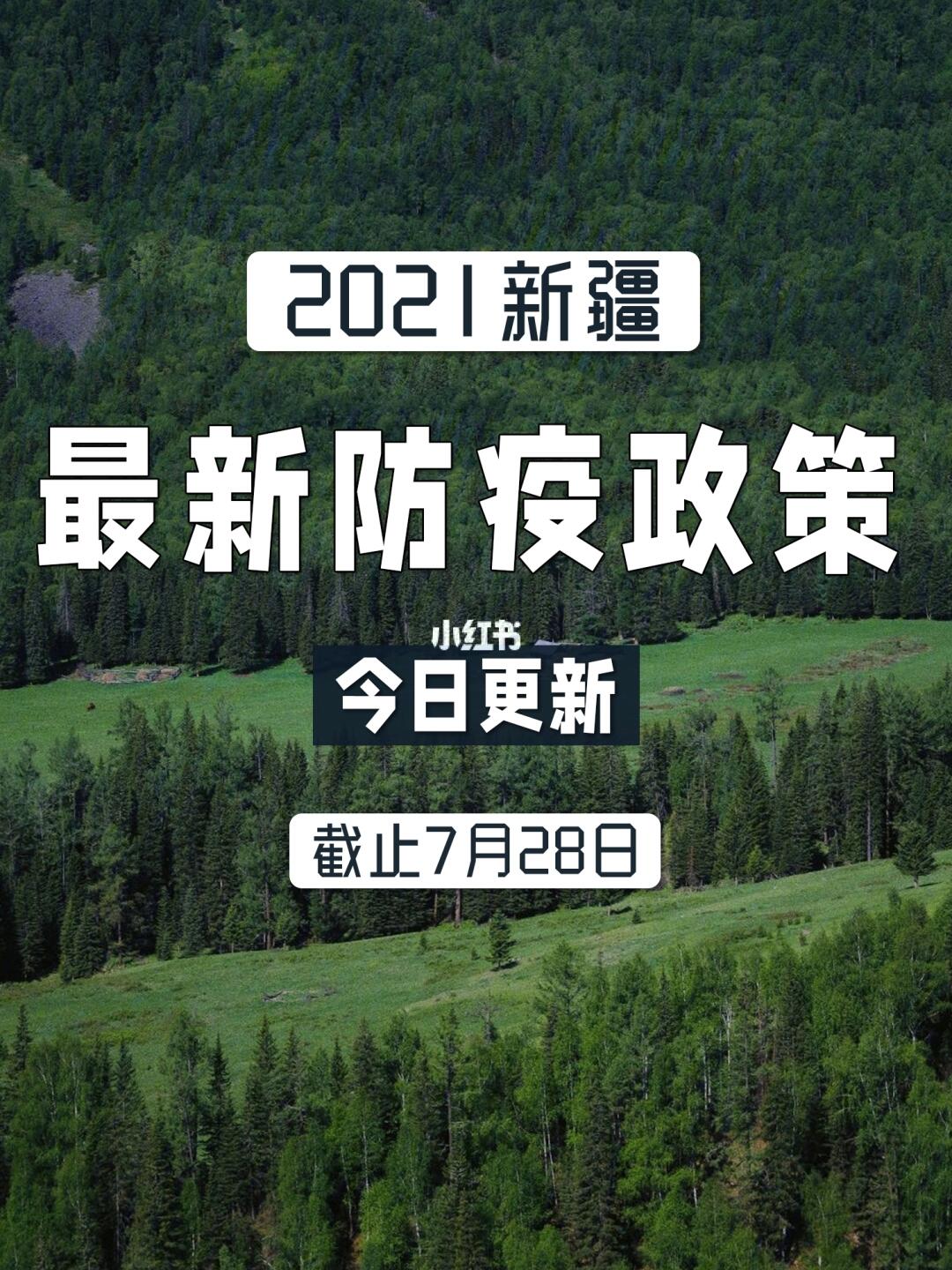 新疆防疫政策最新,新疆防疫政策最新动态分析