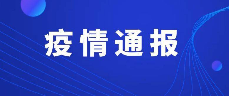 东莞最新疫情通报,东莞最新疫情通报，城市防疫工作的进展与挑战