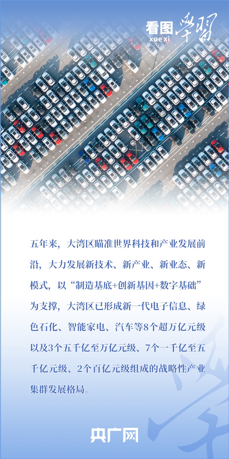 澳门一肖一100精总料,澳门一肖一100精总料——揭示背后的违法犯罪问题