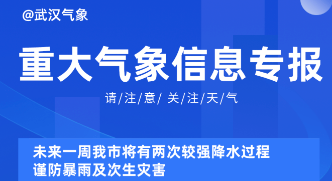 2024新奥资料免费精准175,探索未来，关于新奥资料免费精准获取的研究（附获取方式）