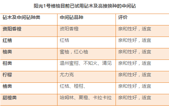 2024年12月 第4页