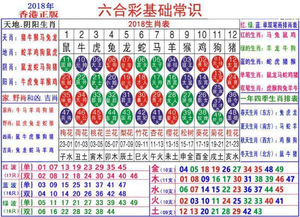 2024澳门正版资料大全资料生肖卡,澳门正版资料大全资料生肖卡，探索与解析