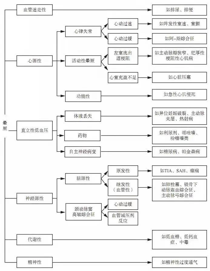 澳门鞋码一肖一,澳门鞋码一肖一，探寻背后的故事与神秘色彩