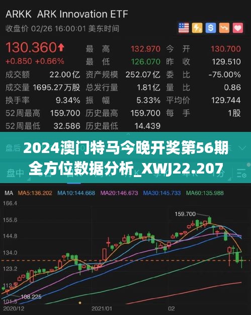 2024新澳门特马今晚开什么,新澳门特马今晚开什么——探索随机性与理性的交汇点