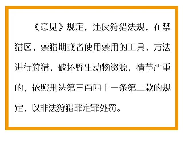 新澳门三期必开一期,关于新澳门三期必开一期与违法犯罪问题的探讨