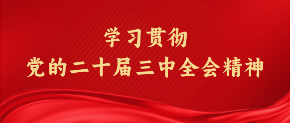 2024年新澳门天天开彩,新澳门天天开彩，探索未来的彩票文化与创新趋势（2024年展望）