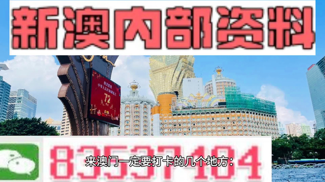 2024年新澳门王中王免费,探索新澳门王中王免费体验的独特魅力