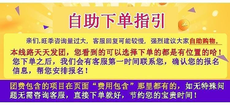 2004澳门天天开好彩大全,澳门天天开好彩，揭秘背后的犯罪问题与挑战