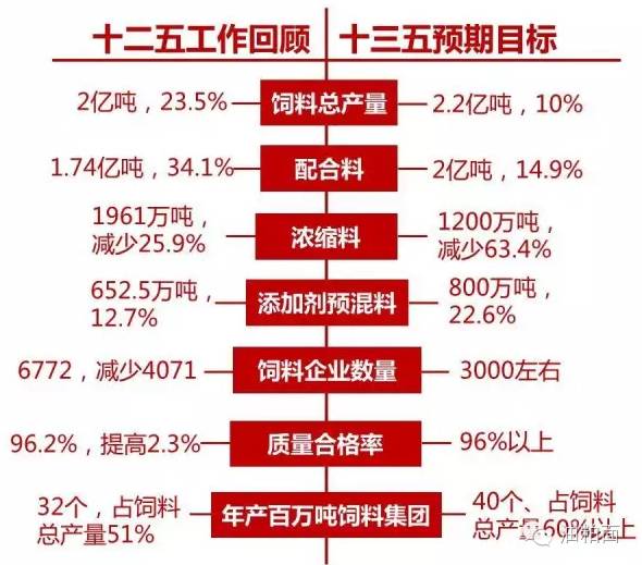 2025年2月12日 第26页