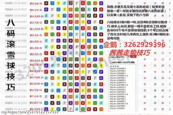 一码一肖100准你好,一码一肖的独特魅力与精准预测——揭秘背后的秘密