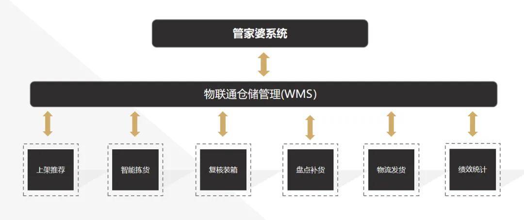 2025管家婆一特一肖,关于2025管家婆一特一肖的研究与探讨