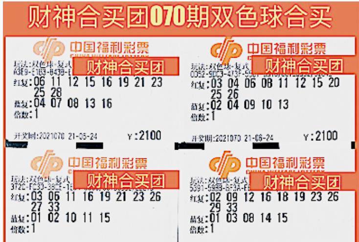 2025年2月17日 第50页