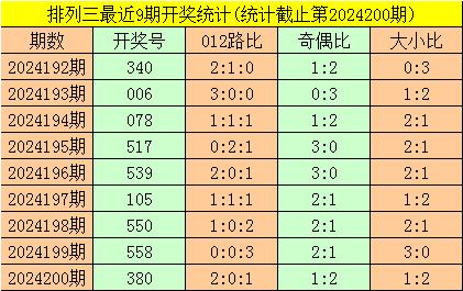 2025年2月17日 第31页