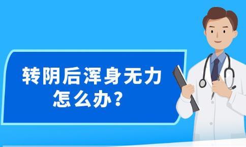 新澳精准资料免费提供网站有哪些084期 10-26-29-37-42-45K：24,新澳精准资料免费提供网站有哪些，探索与解析（第084期）