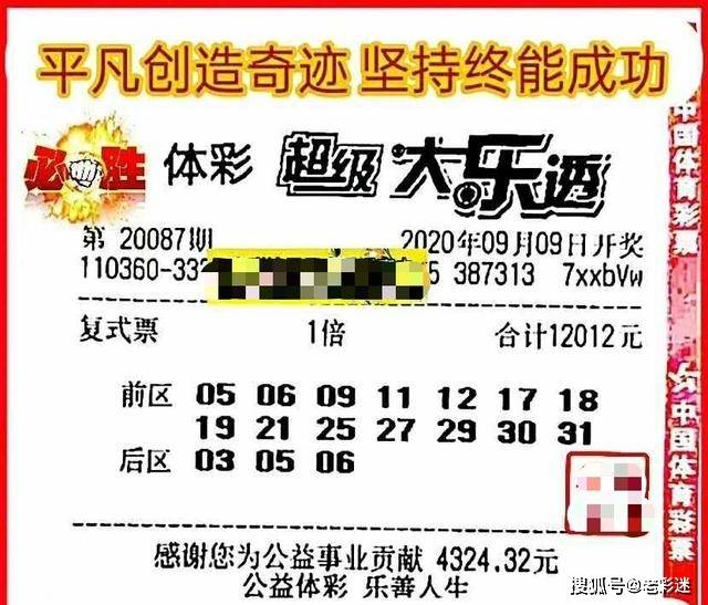 管家婆2025正版资料大全063期 02-06-11-14-32-46C：22,探索管家婆2025正版资料大全，揭秘第063期数字与策略解析