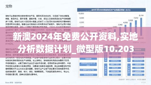 2025新澳兔费资料琴棋095期 06-19-32-45-46-48T：19,探索新澳兔费资料琴棋系列第095期——神秘数字组合之旅