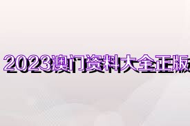 2023澳门正版全年免费资料010期 07-09-21-28-30-45H：17,澳门正版全年免费资料解析，探索010期的秘密与策略（附时间，H，17）